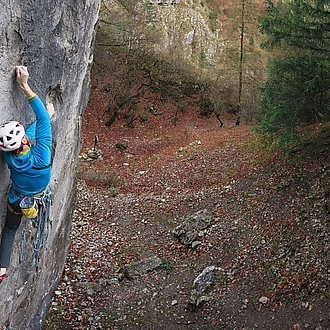 Gekón: 📸 Roman Ripka